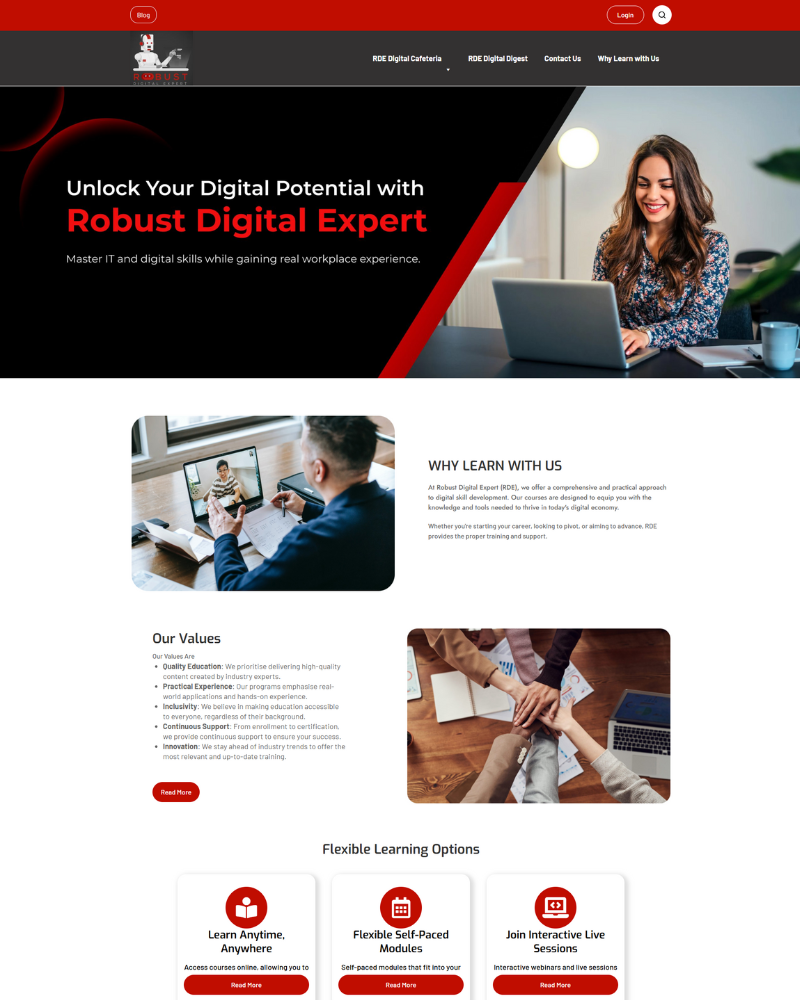 Professional web design portfolio - E-commerce and business websites by Ali Haseeb, Islamabad web developer